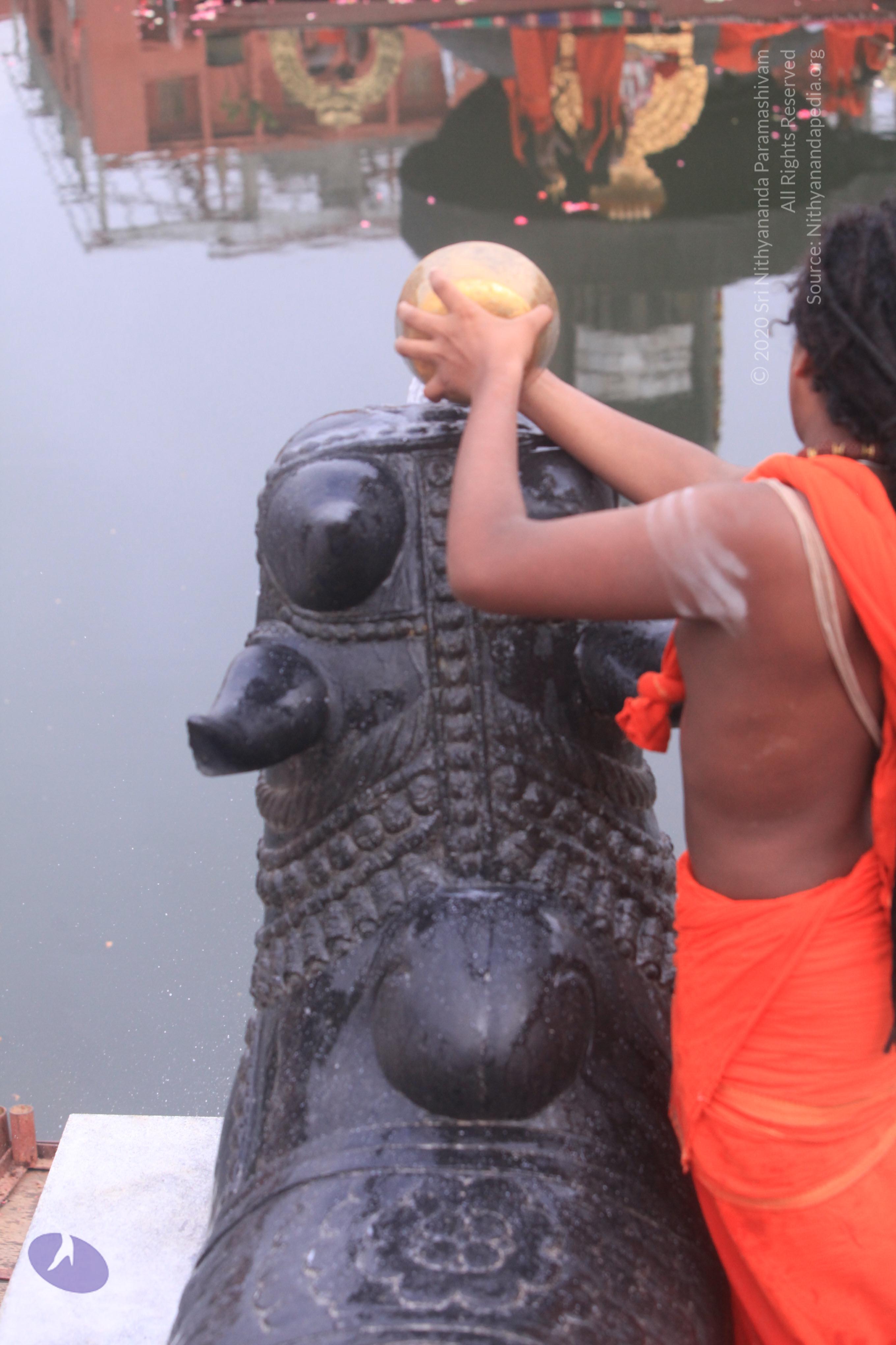 20170529_Photo_1013_IMG_8862_CMP_WM